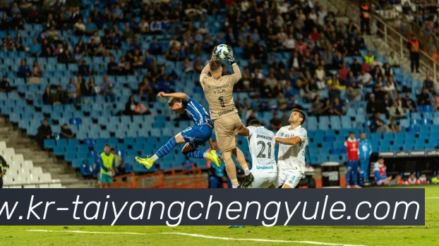 多媒体互动体验